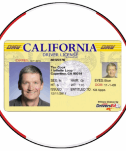 Driving License – USA (All States)