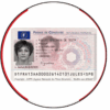 Driver License – France