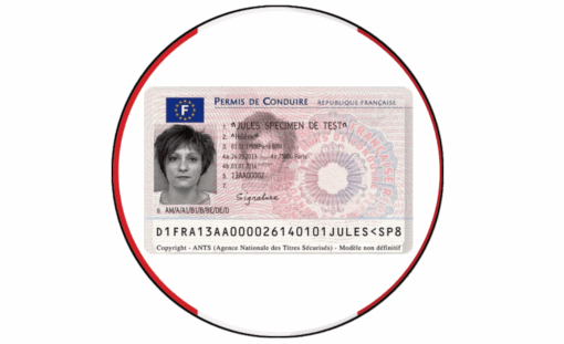 Driver License – France