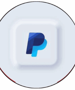 $1,000 PayPal Log – Balance Account