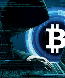 Cryptocurrency Stealer Software
