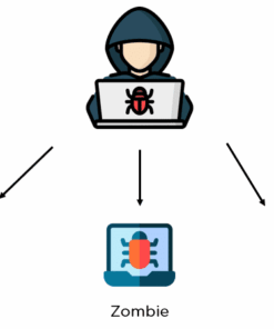 BOTNET LESSON 2023