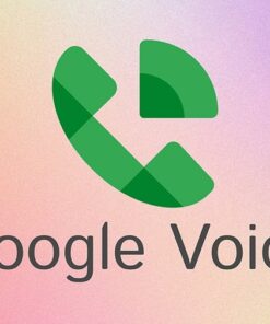 Google Voice Virtual Number