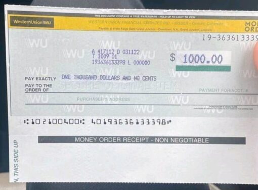 Western Union Transfer - Image 4
