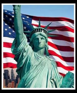 USA NON VBV BUSINESS CC