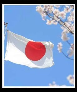 JAPAN CVV CREDIT CARD 100% VALID AND LIVE!!! $5K-$15K BUY 3 AND GET 1 FREE!!!