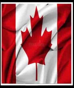 CANADA CCV WITH CREDIT HIGH LEVEL FRESHLY SNIFFED