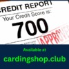 USA FULLZ + Credit BG Report w/ 700-850 Credit Score |